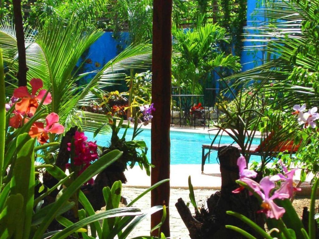 Alta Cebu Resort 外观 照片
